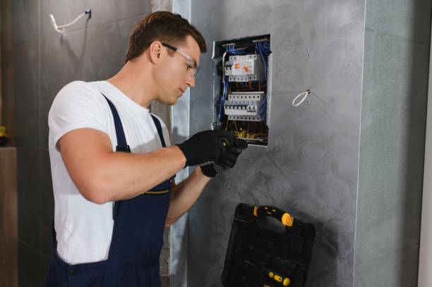 Best Electric Panel Repair  in Saylorville, IA
